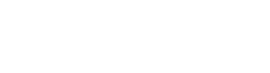 Palmetto