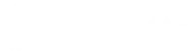 Palmetto